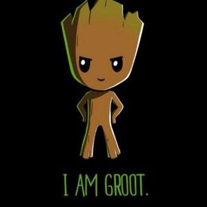 Meet your Posher, Rey